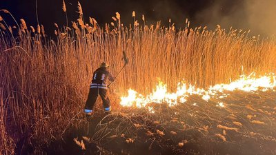 Вигоріло 17 гектарів. За добу на Кіровоградщині погасили 25 пожеж сухостою