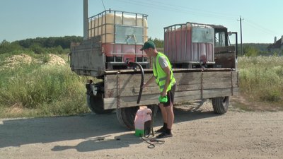 На боротьбу з амброзією у Полтаві витратять 400 тисяч гривень