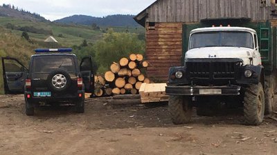 На Львівщині через незаконну рубку дерев відкрили два кримінальні провадження