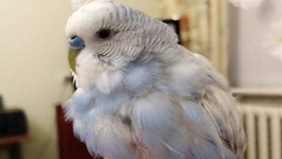На Херсонщині проходить екологічна акція для дітей "Кроки весни 2022" На Херсонщині проходить екологічна акція для дітей "Кроки весни 2022"