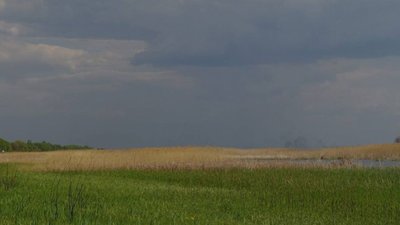 На Черкащині у власність громади повернули "Пташині острови"