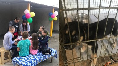 Двом собакам знайшли нових господарів у Всесвітній день захисту тварин в Одесі