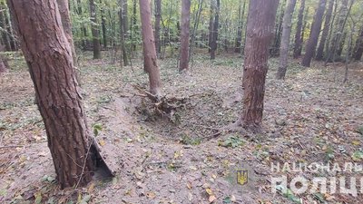 У гаражі загиблого рівнянина, який підірвався на артснаряді, знайшли склад боєприпасів У гаражі загиблого рівнянина, який підірвався на артснаряді, знайшли склад боєприпасів