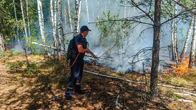 лісові пожежі, ДСНС, ДП, «Ліси України», рятувальники, спека