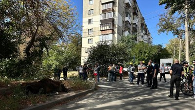 Між будинків у Києві заблукав лось: як рятують тварину Між будинків у Києві заблукав лось: як рятують тварину
