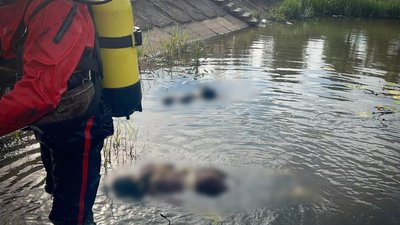 У озері села Батрадьна Берегівського району потонули дві неповнолітні дівчини