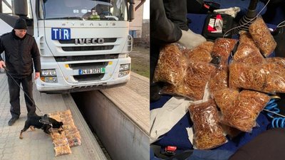 На Одеській митниці службовий пес знайшов 15 кг контрабандного бурштину
