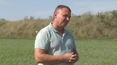 На Волині завершуються жнива та почалась посівна озимого ріпаку