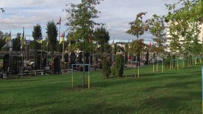 У Житомирі висадили 28 дубів в пам'ять про загиблих військових