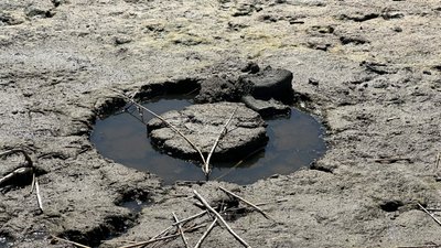 У Миколаєві майже повністю пересохло озеро Солене: яка причина У Миколаєві майже повністю пересохло озеро Солене: яка причина