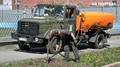 Понад 130 дерев та 400 кущів висадили у Полтаві Понад 130 дерев та 400 кущів висадили у Полтаві