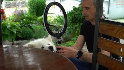 Суржик та хом’як-талісман: історія тіктокерки Даші з Харківщини, відео якої набрали 16 млн лайків Суржик та хом’як-талісман: історія тіктокерки Даші з Харківщини, відео якої набрали 16 млн лайків