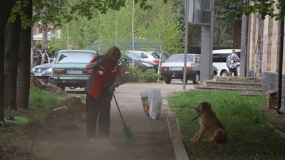 В Охтирці на Сумщині відбулася весняна толока В Охтирці на Сумщині відбулася весняна толока