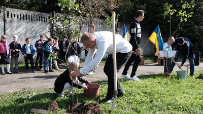 дерева дерева
