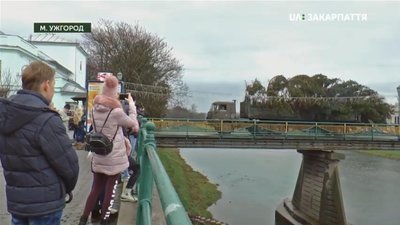 Новорічну ялинку встановили в Ужгороді