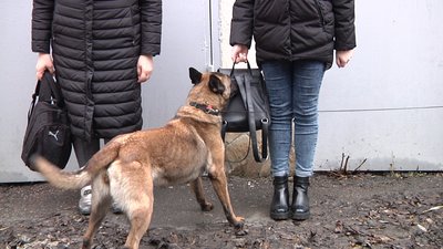 В одеському порту пройшли тренування службових собак В одеському порту пройшли тренування службових собак