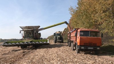 Дві третини площ ще не опрацьовані: як на Волині триває збір урожаю Дві третини площ ще не опрацьовані: як на Волині триває збір урожаю