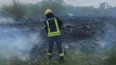 Горіла суха трава і очерет, пожежа на Волині, ДСНС