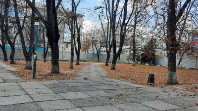Кропивничанка припинила голодування, яке оголосила на знак протесту проти реконструкції скверу