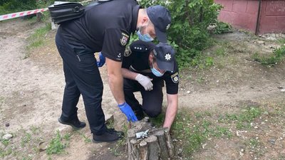 У Сєвєродонецьку від вибуху боєприпасу травмувалася дитина