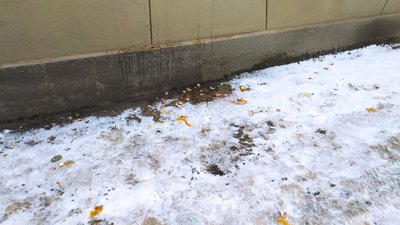 В центрі Харкова закидали яйцями відновлену дошку Юрію Шевельову В центрі Харкова закидали яйцями відновлену дошку Юрію Шевельову