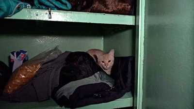 Рятувалися від війни: як живе у Прилуцькій лікарні родина з Києва Рятувалися від війни: як живе у Прилуцькій лікарні родина з Києва