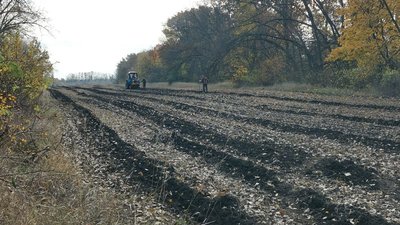 "Садити ліс, то велике задоволення": на Полтавщині лісівники почали осінню висадку "Садити ліс, то велике задоволення": на Полтавщині лісівники почали осінню висадку
