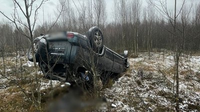 Житомир, ДТП, поліція, 25 листопада 2025 року
