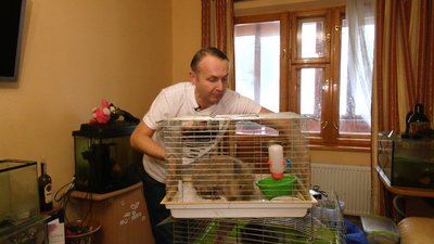Іванофранківець створив у власній квартирі прихисток для екзотичних тварин