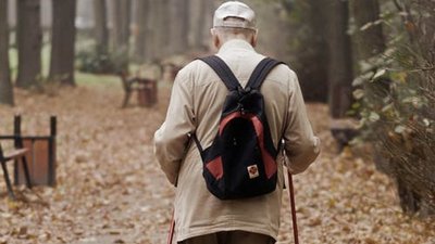 Скандинавська ходьба Скандинавська ходьба