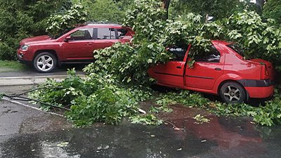 Пошкоджені автівки та 60 населених пунктів — без світла. Наслідки негоди на Сумщині Пошкоджені автівки та 60 населених пунктів — без світла. Наслідки негоди на Сумщині
