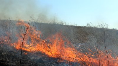За минулу добу на Полтавщині сталося 12 пожеж