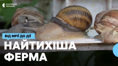 Як подружжя колишньої викладачки та ветерана російсько-української війни вирощують равликів