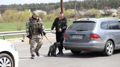 Пес Рей з Хмельниччини отримав нагороду за дев'ять врятованих життів