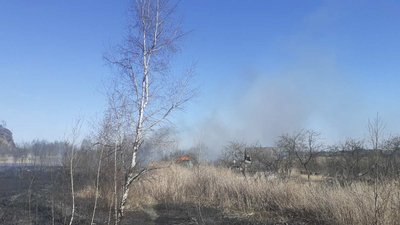 Через підпал сухостою, у Червонограді згоріли 10 дачних будинків