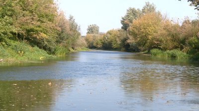 Де на Рівненщині небезпечна для купання вода. Спеціалістка назвала місця