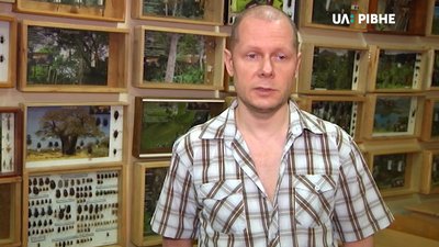 Нашестя комарів: чому їх так багато та як боротись із укусами