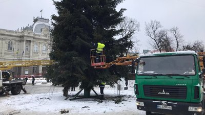 У Львові демонтують головну ялинку У Львові демонтують головну ялинку
