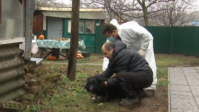 На Полтавщині планово вакцинують від сказу домашніх тварин: що відомо На Полтавщині планово вакцинують від сказу домашніх тварин: що відомо