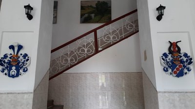 На фото герби палацу Орловських.