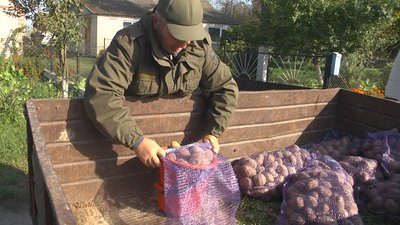 На Волині зібрали тонну картоплі для пацієнтів медзакладів. Хто має забезпечувати харчування