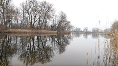 Річка у Свидівку