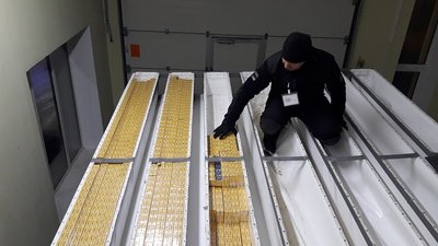 Понад 24 тисячі пачок цигарок білоруського виробництва вилучили прикордонники у Нових Яриловичах Понад 24 тисячі пачок цигарок білоруського виробництва вилучили прикордонники у Нових Яриловичах