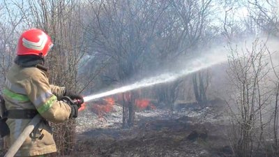 Три пожежі за добу: на Буковині горіли п'ять гектарів сухої трави