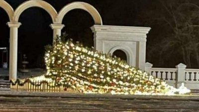 160 населених пунктів без електрики, повалені дерева і ускладнений рух: наслідки вітру на Сумщині 160 населених пунктів без електрики, повалені дерева і ускладнений рух: наслідки вітру на Сумщині