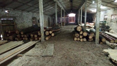 На Волині у приватній пилорамі виявили деревину без документів