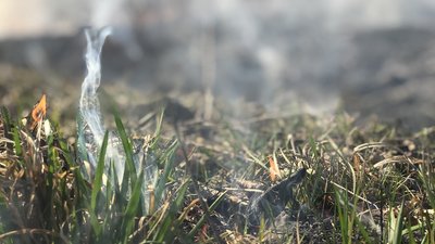 На Прикарпатті горіли трава, дрова і господарська будівля
