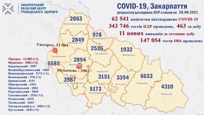 На Закарпатті за минулу добу COVID-19 лабораторно виявили у 14 людей На Закарпатті за минулу добу COVID-19 лабораторно виявили у 14 людей