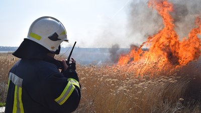 Пожежі в екосистемах Миколаївщини – людська недбалість Пожежі в екосистемах Миколаївщини – людська недбалість