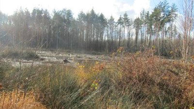 Підозрюється група місцевих жителів: у Коростенському районі на Житомирщині припинили незаконний видобуток бурштину Підозрюється група місцевих жителів: у Коростенському районі на Житомирщині припинили незаконний видобуток бурштину